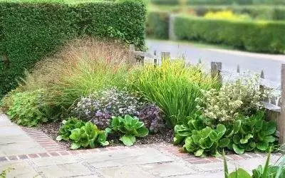 Small Space Gardening for Health and Wellness