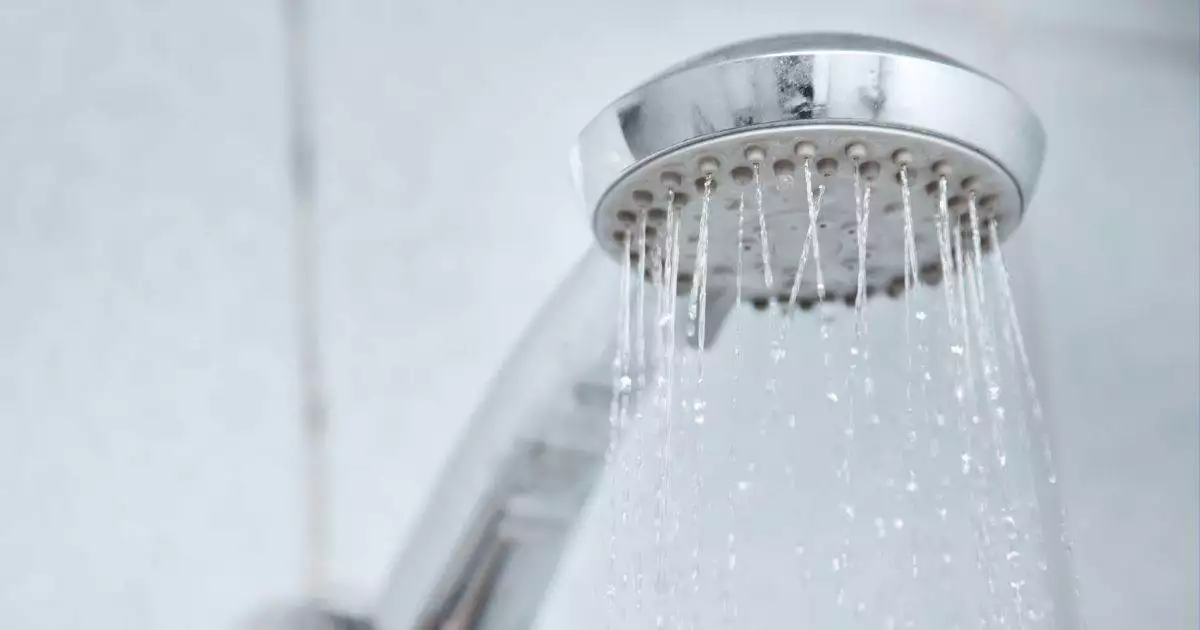 shower head