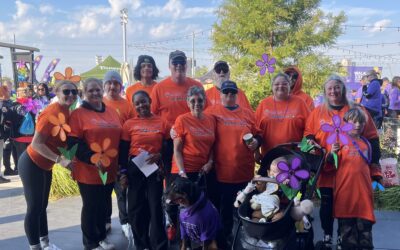 Alzheimer’s & Brain Awareness Month: Supporting Brain Health Together