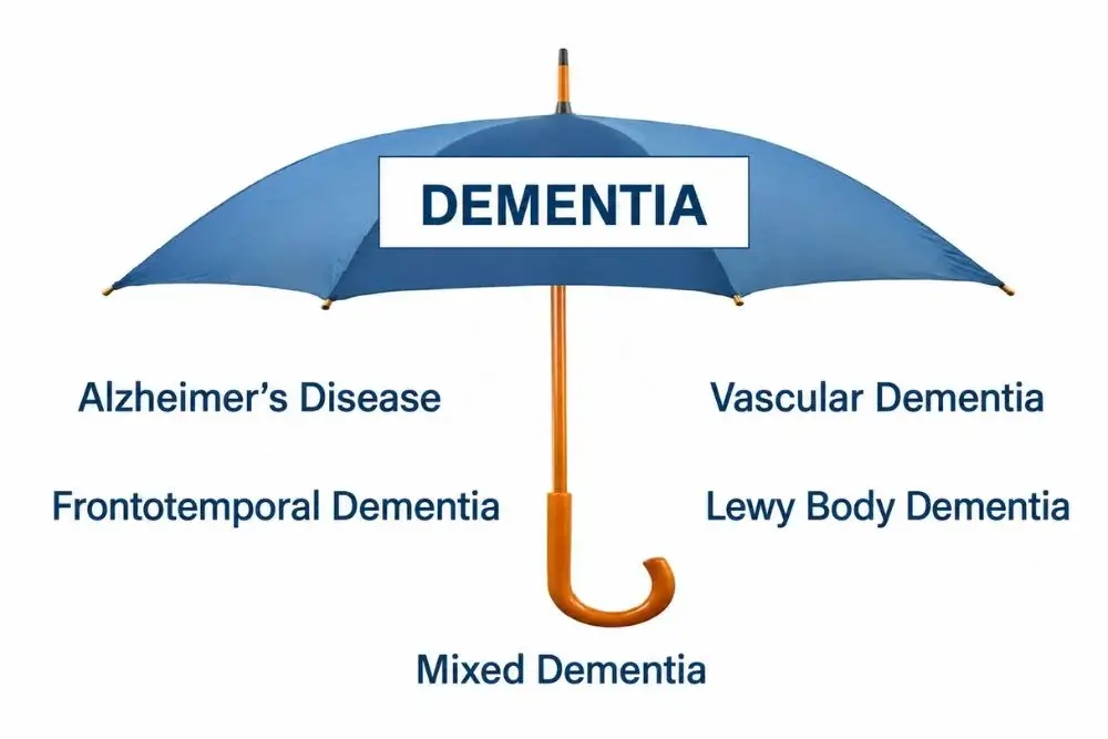 Common diseases and conditions that cause dementia